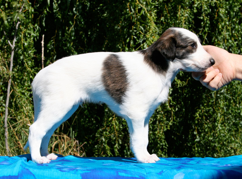 Surf Spots - Boy 1 Right